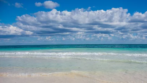 Playa Paraíso en Quintana Roo deslumbra con su arena blanca y aguas turquesa, ideal para disfrutar en familia.