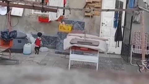 perro camina en dos patas