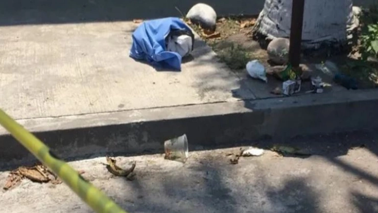 jauría de perros se come a bebe venezula