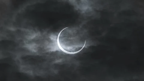 Qué-sucede-con-el-comportamiento-de-los-animales-durante-un-eclipse-solar