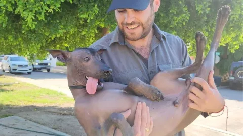 El xoloitzcuintle es un perro nativo de México con una gran historia