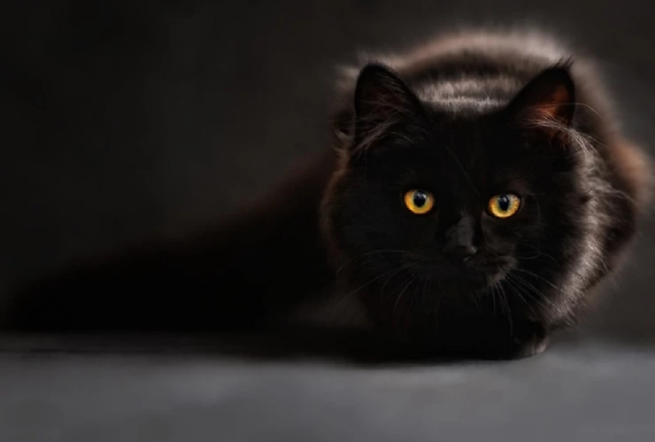 marrtes 13 día de la mala suerte