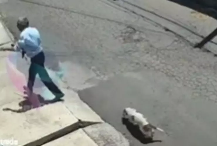 Con machete en mano, adulto mayor salva su papelería de un asalto