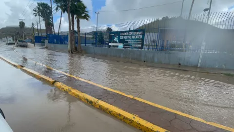 WhatsApp Image 2024-03-24 at 9.17.31 AM.jpeg