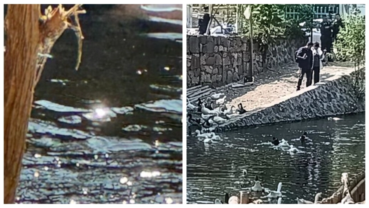 Hallan cadáver flotando en canal de Iztapalapa en CDMX; investigan macabro descubrimiento