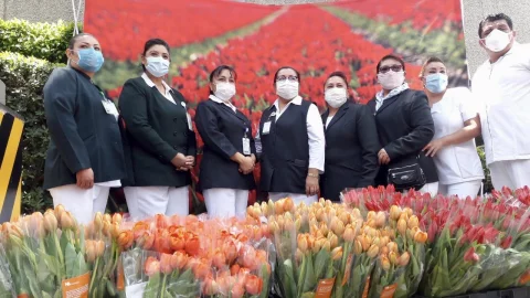 tulipanes_IMSS-1.jpg