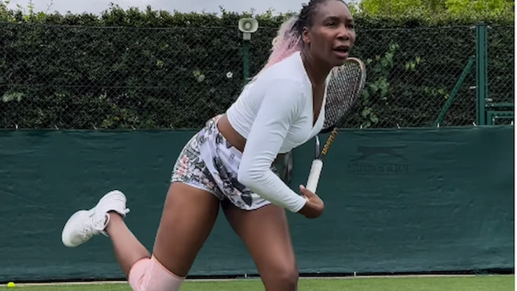 venus williams