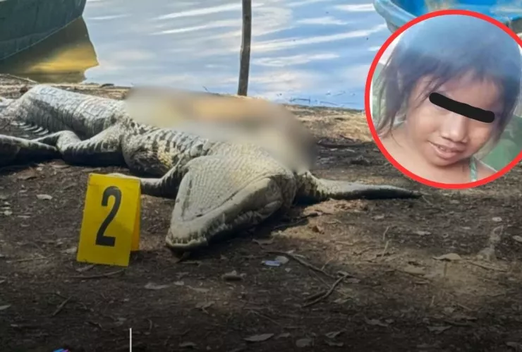 Niña devorada por cocodrilo en Guatemala