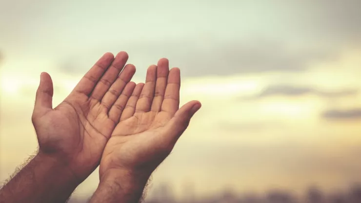 El significado de las líneas que tienes en las muñecas de tus manos