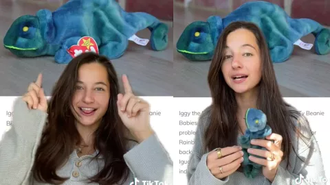 Le regaló un peluche a su hijo y descubrió que valía miles de dólares.jpg