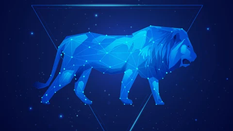 LEO
