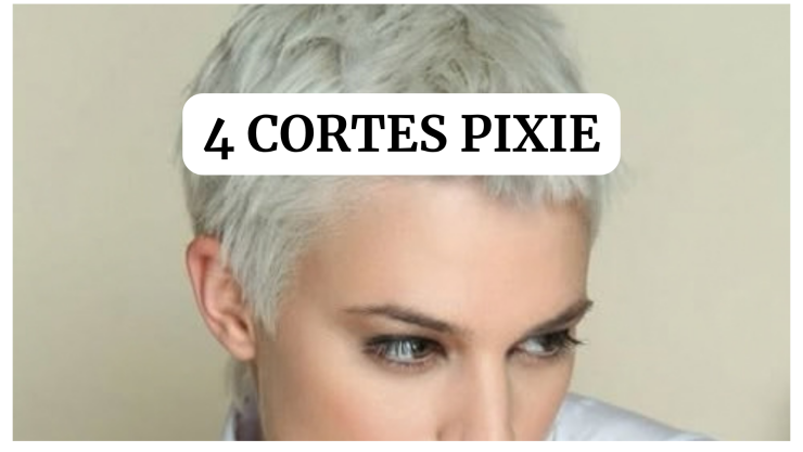 Cortes Pixie