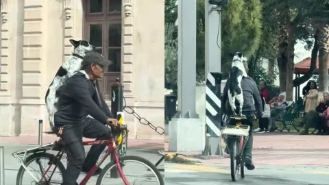 Se viraliza a abuelito paseando a su perrito