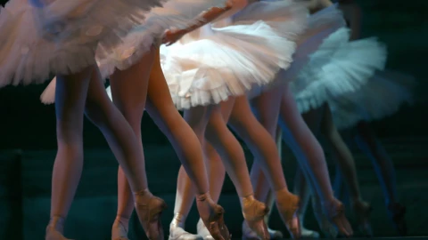 El Lago de los Cisnes CDMX