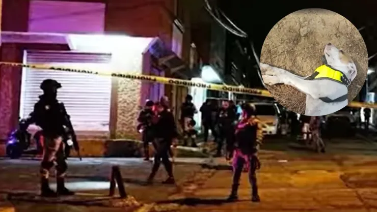 ¡Coffy dio la vida por su leal amigo!
