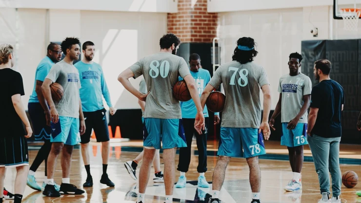 Hornets.jpg