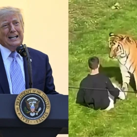 Donald Trump se burla de William Chapman tras el ataque del tigre