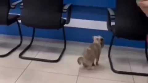 Texto del párrafo - 2025-05-21T095854.875.jpg