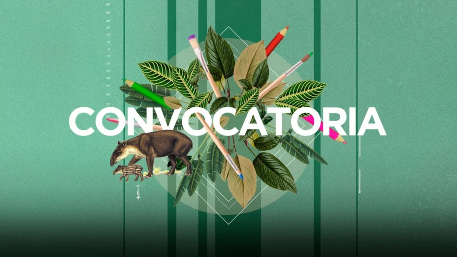 Convocatoria 1