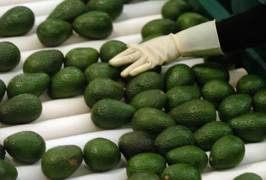 Aguacates