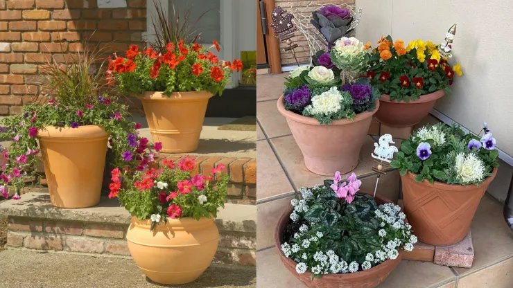 Maceta de barro con flores