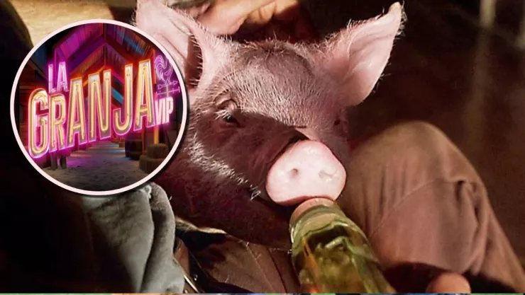 ¡Del cine a La Granja VIP! Tres puerquitos de película que seguro te conquistaron.