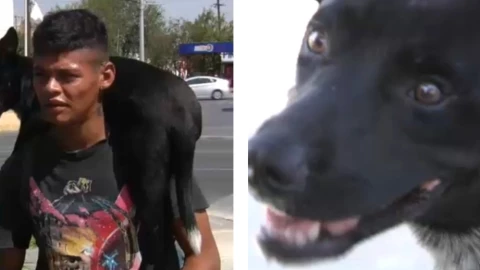 Migrnate viaja junto a su perro de nombre niño_.jpg