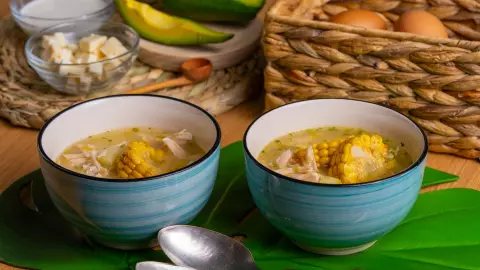 Caldo de pollo Nano Erdozain