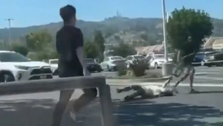 VIDEO Ladrón arrastra a abuelita para robarle su bolsa