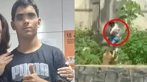 El joven fue atrapado por la leona en segundos.