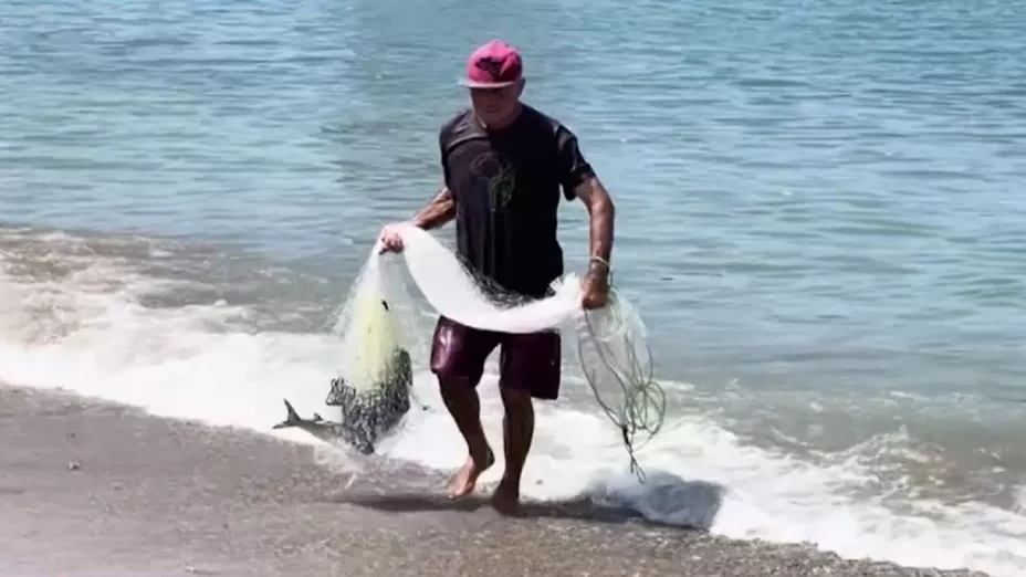 Baja captura de pescado en Mazatlán