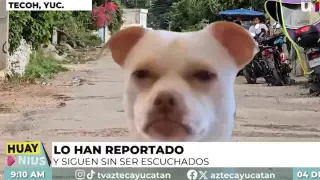 Siguen baches en Tecoh, Yucatan.