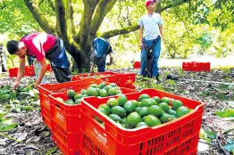 Estatus del ámbito agropecuario.