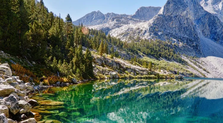 Vista del Sequoia National Park en invierno.