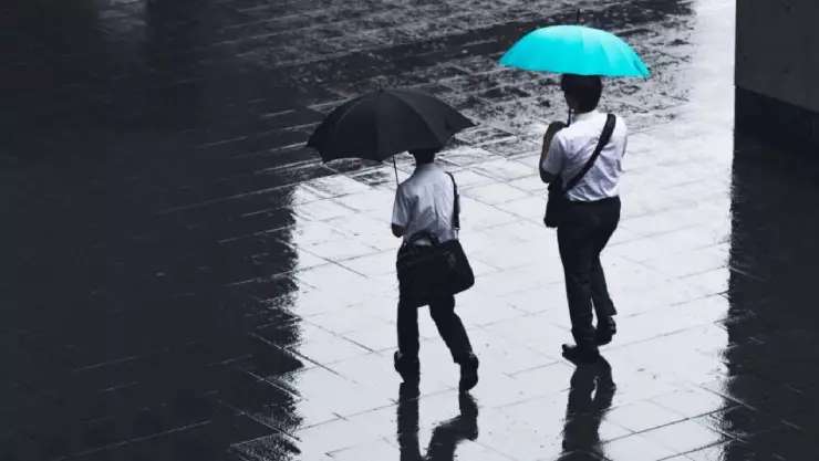 Precio del dólar hoy en Yucatán jueves 18 de julio de 2024