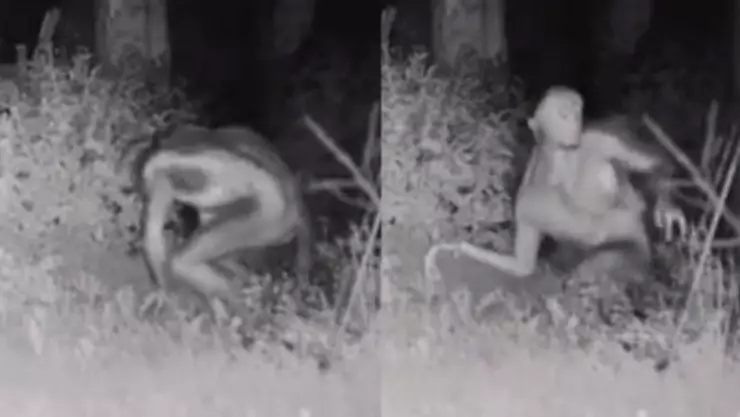 VIDEO: Policía capta supuesto alien en Las Vegas afuera de una casa