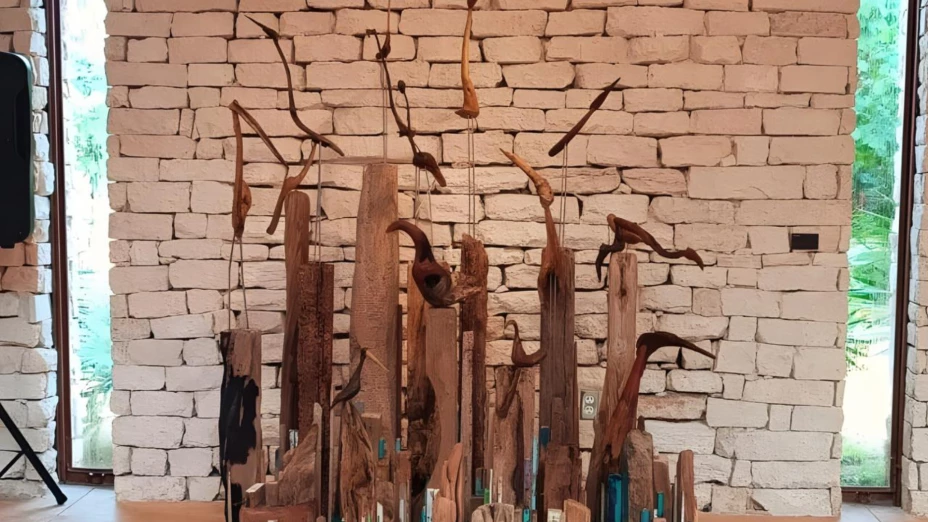 “De plumas, aves y ancestros”