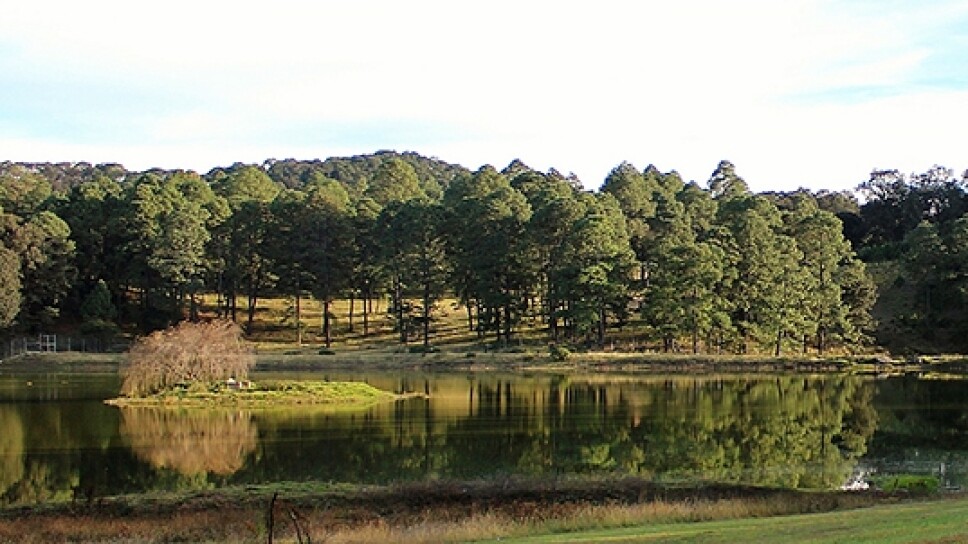 A1_1228.jpg