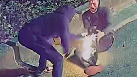 hombre-se-prende-fuego-provocar-incendio-en-canadá-lo busca-policía-video