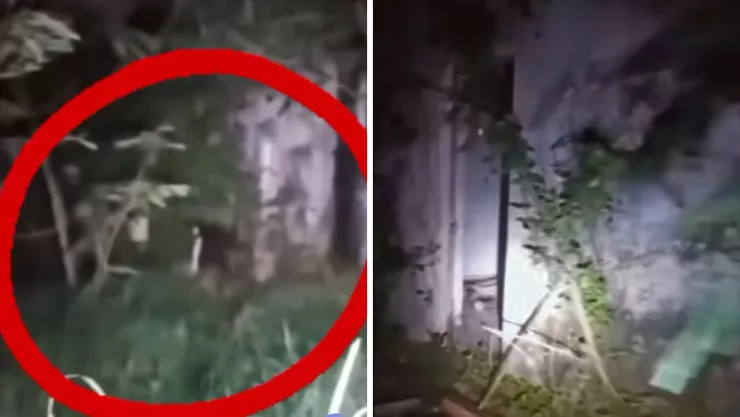 El video fue grabado durante una exploración urbana nocturna en Veracruz