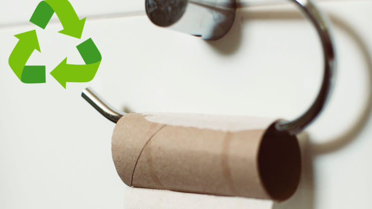 tubos de papel higiénico.png