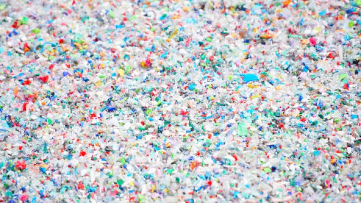 microplasticos.jpg