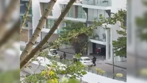 Casas baleadas en Montebello