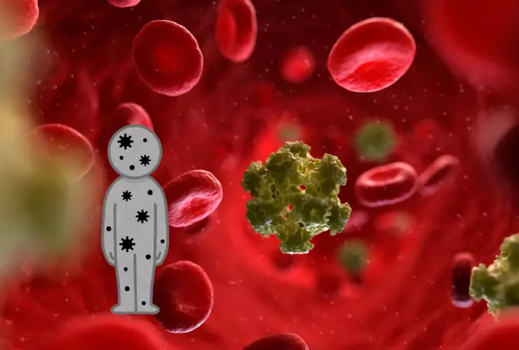 VPH ¿Cómo se contagia Síntomas y todo lo que debes saber del papilomavirus?