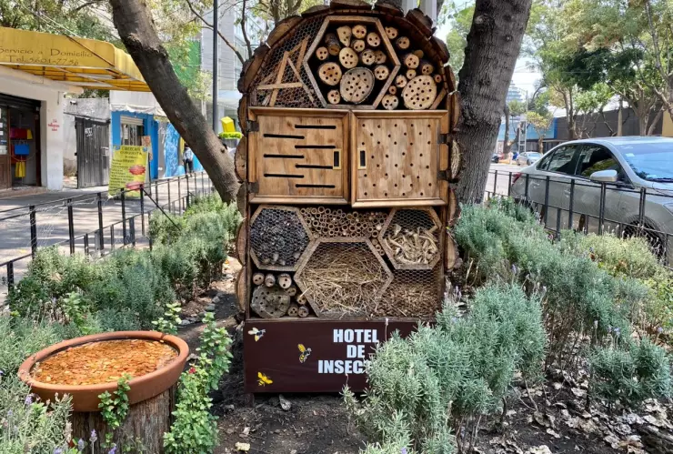 Hoteles y bebederos para insectos .jpg