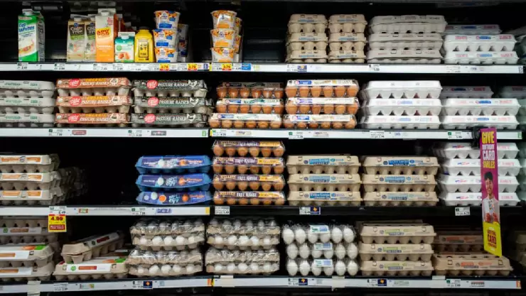 El Procurador Federal del Consumidor, Francisco Ricardo Sheffield Padilla, informó cuál es la razón por la que el precio del huevo se incrementó en México.