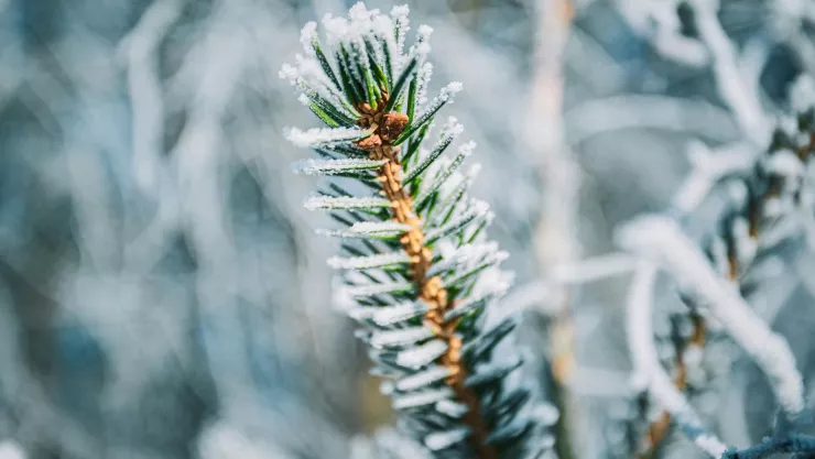 Nevadas podrían sorprender a varios municipios en México en octubre 2024.jpg