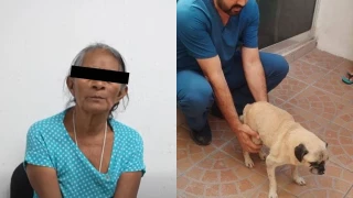 detienen-a-mujer-que-lanzo-a-un-perrito-en-tuxtla-gutierrez-chiapas-acusada-maltrato-animal