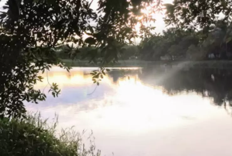 Laguna de lagartos .