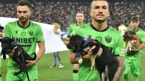 Rumania, adopción de Perros